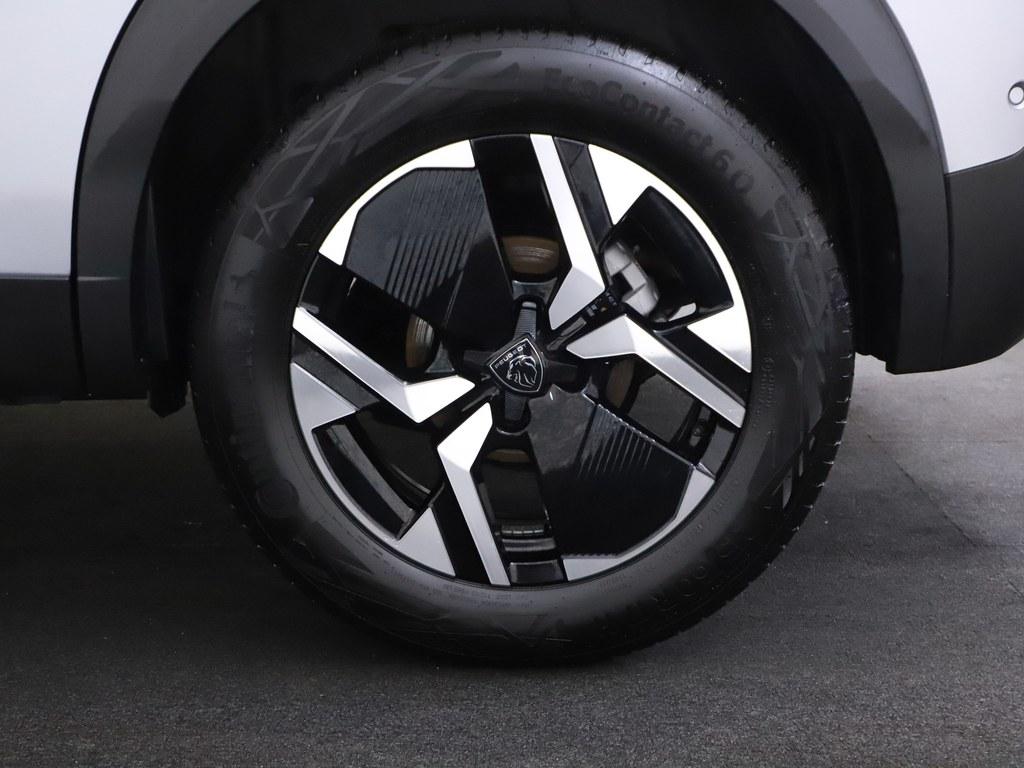 51562956-3.jpg