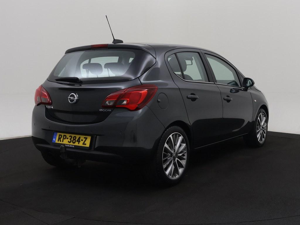 55095332-1.jpg